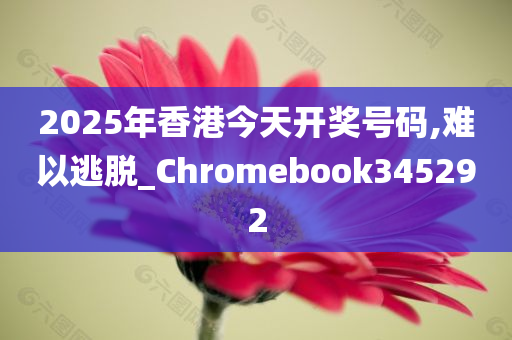 2025年香港今天开奖号码,难以逃脱_Chromebook345292