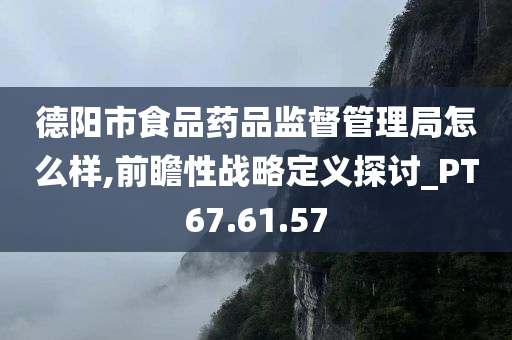 德阳市食品药品监督管理局怎么样,前瞻性战略定义探讨_PT67.61.57