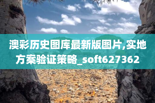 澳彩历史图库最新版图片,实地方案验证策略_soft627362