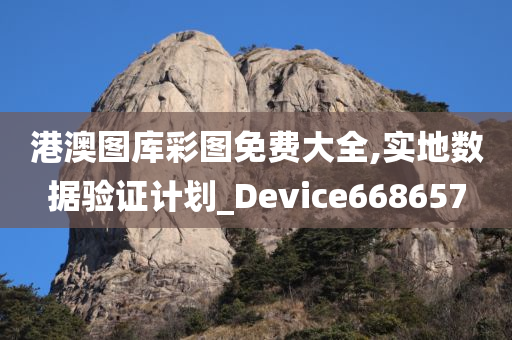 港澳图库彩图免费大全,实地数据验证计划_Device668657