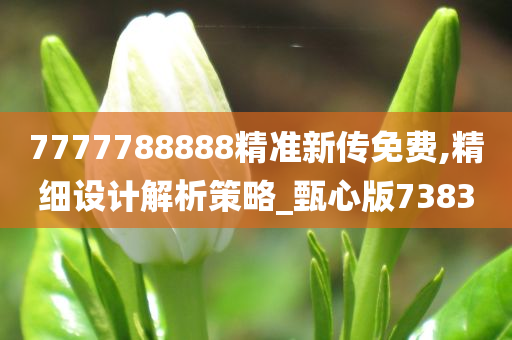 7777788888精准新传免费,精细设计解析策略_甄心版7383