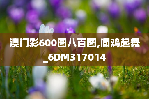 澳门彩600图八百图,闻鸡起舞_6DM317014