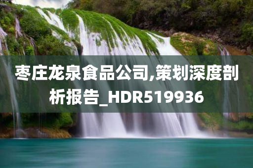 枣庄龙泉食品公司,策划深度剖析报告_HDR519936