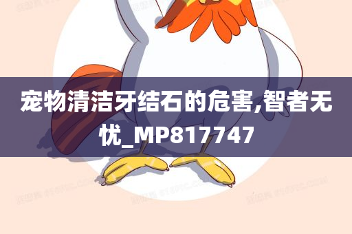 宠物清洁牙结石的危害,智者无忧_MP817747