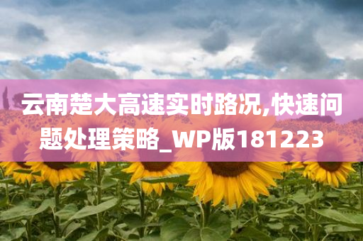 云南楚大高速实时路况,快速问题处理策略_WP版181223