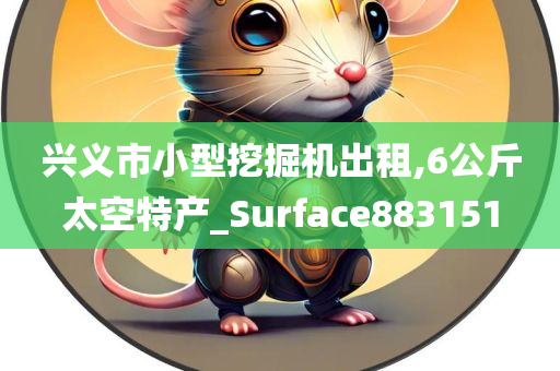 兴义市小型挖掘机出租,6公斤太空特产_Surface883151