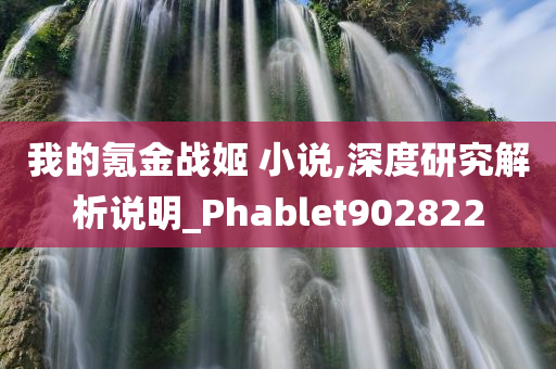 我的氪金战姬 小说,深度研究解析说明_Phablet902822