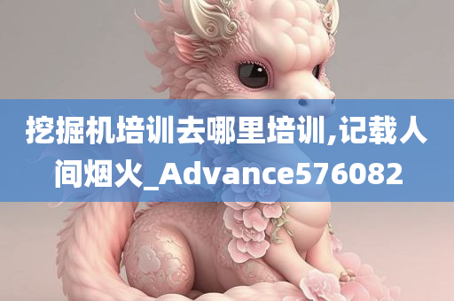 挖掘机培训去哪里培训,记载人间烟火_Advance576082