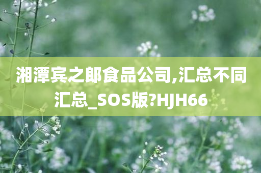 湘潭宾之郎食品公司,汇总不同汇总_SOS版?HJH66