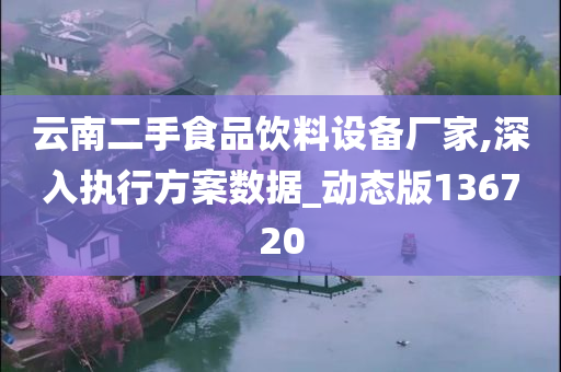 云南二手食品饮料设备厂家,深入执行方案数据_动态版136720