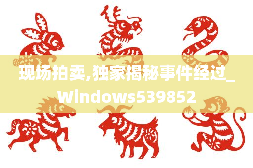 现场拍卖,独家揭秘事件经过_Windows539852