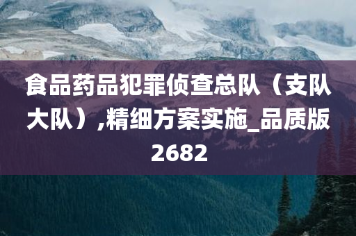 食品药品犯罪侦查总队（支队大队）,精细方案实施_品质版2682