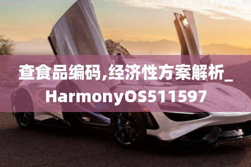 查食品编码,经济性方案解析_HarmonyOS511597