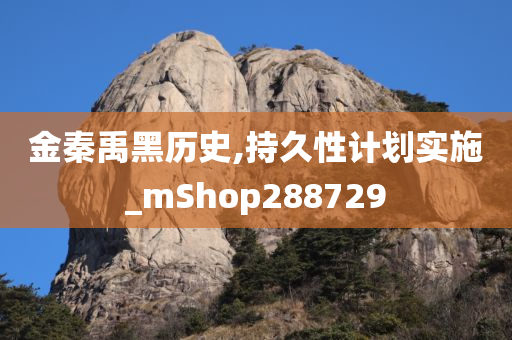 金秦禹黑历史,持久性计划实施_mShop288729