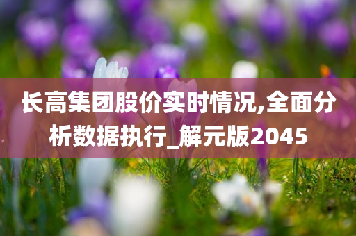 长高集团股价实时情况,全面分析数据执行_解元版2045