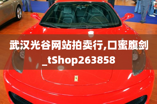 武汉光谷网站拍卖行,口蜜腹剑_tShop263858