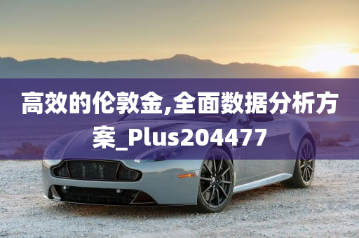 高效的伦敦金,全面数据分析方案_Plus204477