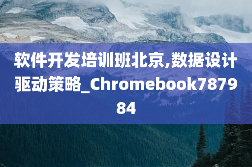 软件开发培训班北京,数据设计驱动策略_Chromebook787984