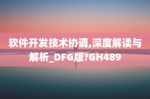 软件开发技术协调,深度解读与解析_DFG版?GH489