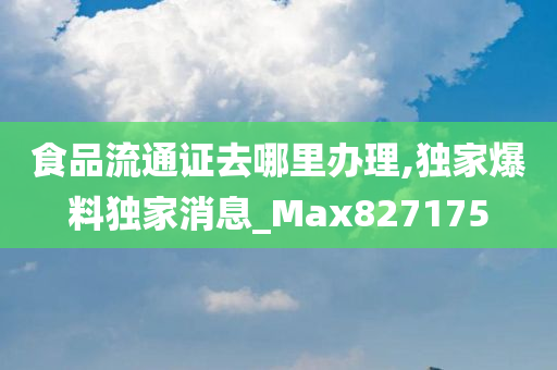 食品流通证去哪里办理,独家爆料独家消息_Max827175