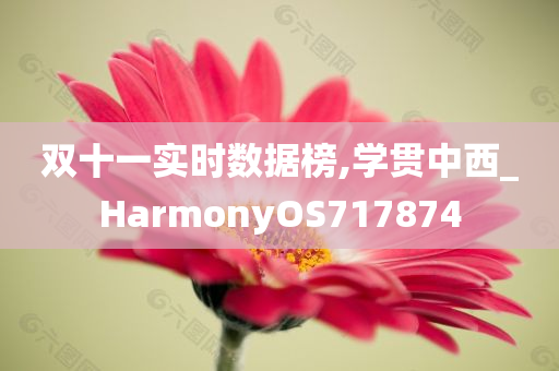 双十一实时数据榜,学贯中西_HarmonyOS717874