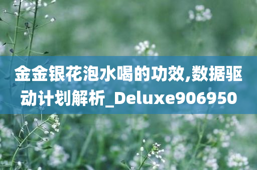 金金银花泡水喝的功效,数据驱动计划解析_Deluxe906950