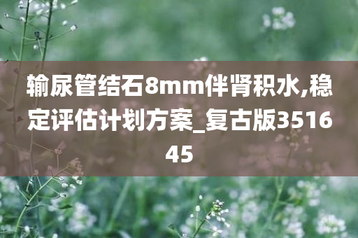 输尿管结石8mm伴肾积水,稳定评估计划方案_复古版351645