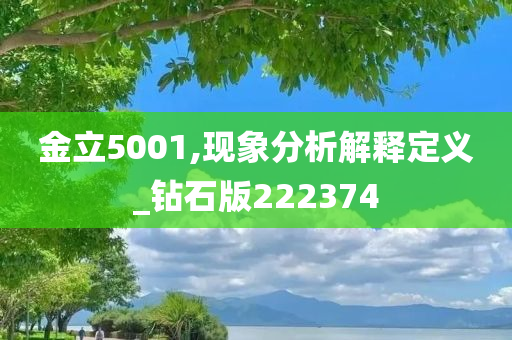 金立5001,现象分析解释定义_钻石版222374