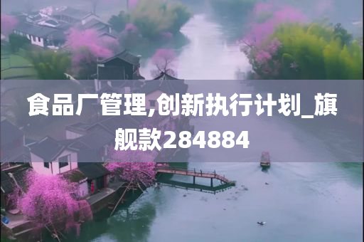 食品厂管理,创新执行计划_旗舰款284884