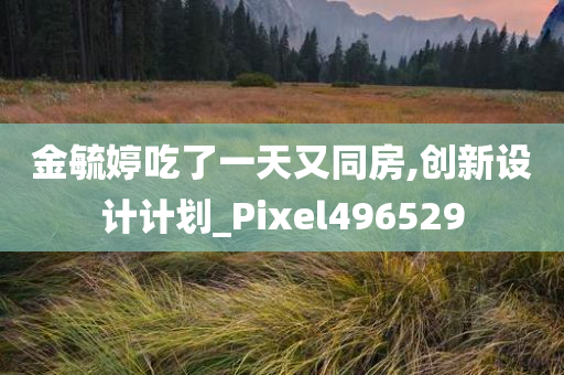 金毓婷吃了一天又同房,创新设计计划_Pixel496529