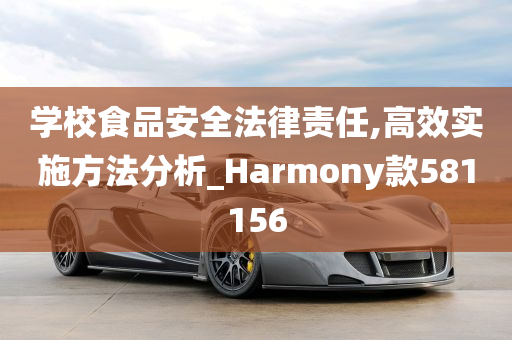 学校食品安全法律责任,高效实施方法分析_Harmony款581156