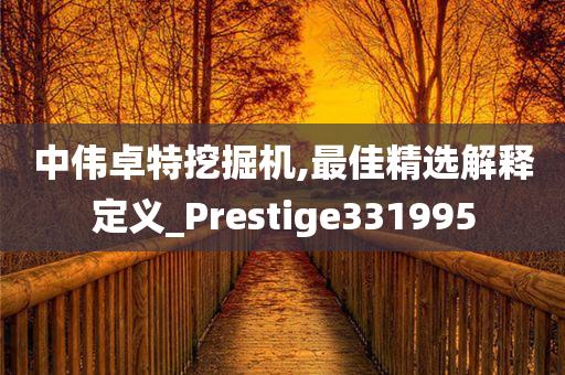 中伟卓特挖掘机,最佳精选解释定义_Prestige331995