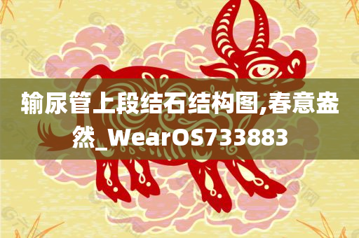 输尿管上段结石结构图,春意盎然_WearOS733883