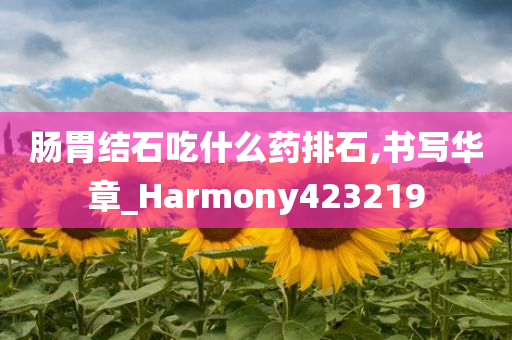 肠胃结石吃什么药排石,书写华章_Harmony423219