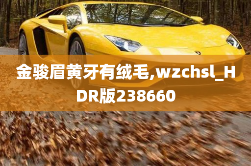 金骏眉黄牙有绒毛,wzchsl_HDR版238660