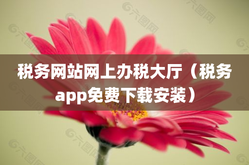 税务网站网上办税大厅（税务app免费下载安装）