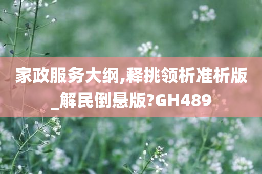 家政服务大纲,释挑领析准析版_解民倒悬版?GH489