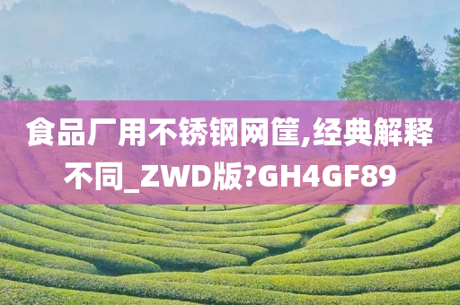 食品厂用不锈钢网筐,经典解释不同_ZWD版?GH4GF89