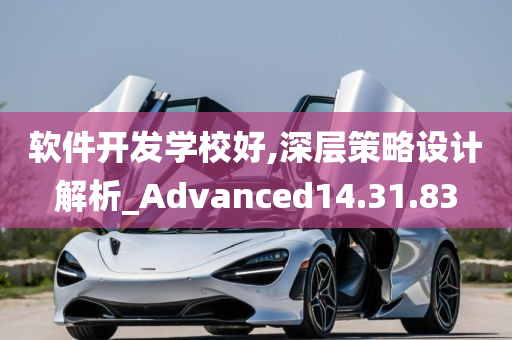 软件开发学校好,深层策略设计解析_Advanced14.31.83