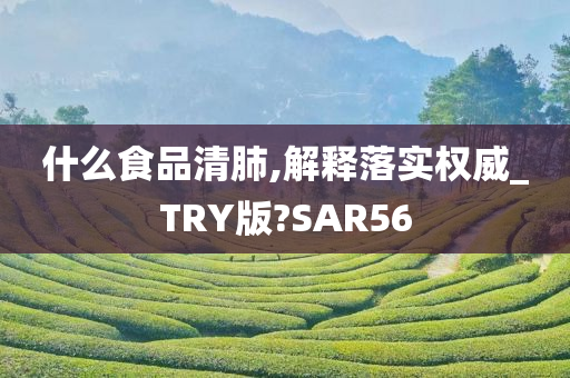 什么食品清肺,解释落实权威_TRY版?SAR56