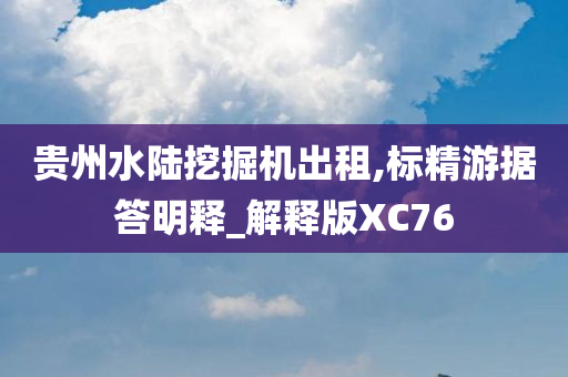 贵州水陆挖掘机出租,标精游据答明释_解释版XC76