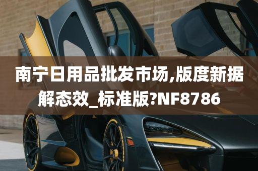 南宁日用品批发市场,版度新据解态效_标准版?NF8786