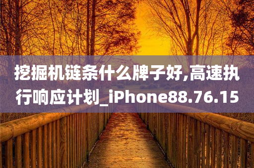 挖掘机链条什么牌子好,高速执行响应计划_iPhone88.76.15