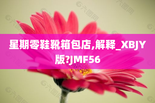 星期零鞋靴箱包店,解释_XBJY版?JMF56