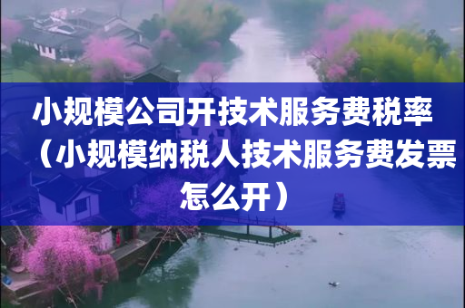 小规模公司开技术服务费税率（小规模纳税人技术服务费发票怎么开）