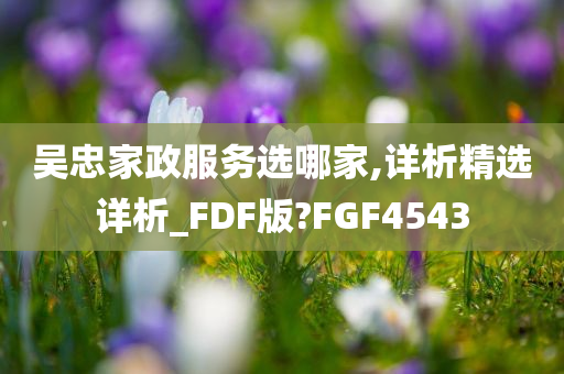 吴忠家政服务选哪家,详析精选详析_FDF版?FGF4543