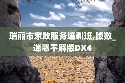 瑞丽市家政服务培训班,版数_迷惑不解版DX4