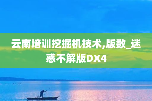 云南培训挖掘机技术,版数_迷惑不解版DX4