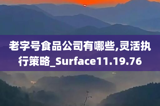 老字号食品公司有哪些,灵活执行策略_Surface11.19.76