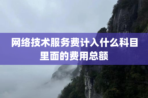 网络技术服务费计入什么科目里面的费用总额